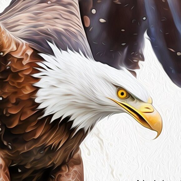 16x20 Eagle Ocean Watercolor Oil Painting Art Print - Picture 4 of 6